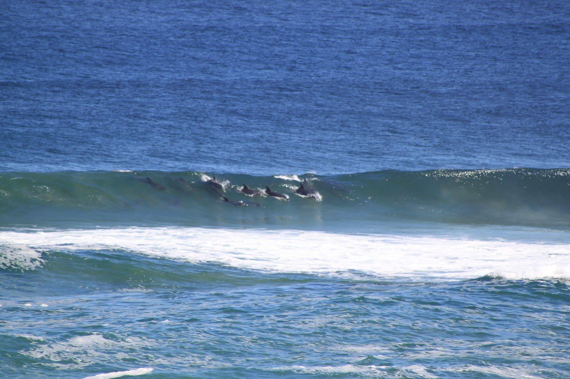 Murphys Port Elizabeth Exterior foto